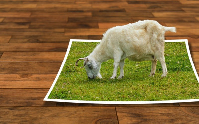 The 4 Best Photo Editing Apps